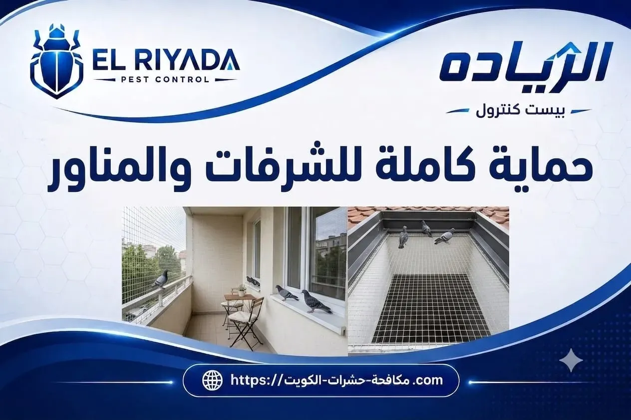 Balcony and Light Well Pigeon Protection Kuwait