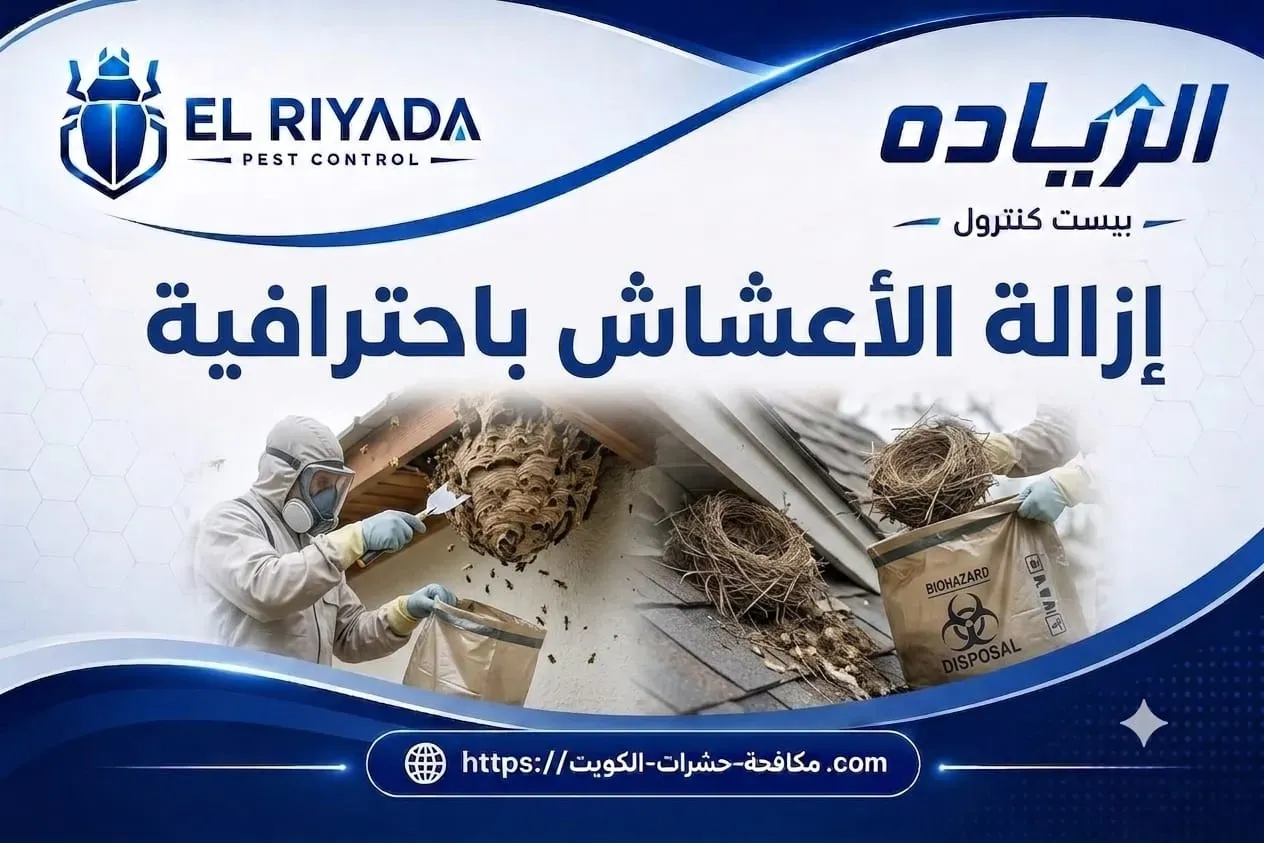 إزالة أعشاش الدبابير والطيور باحترافية الكويت