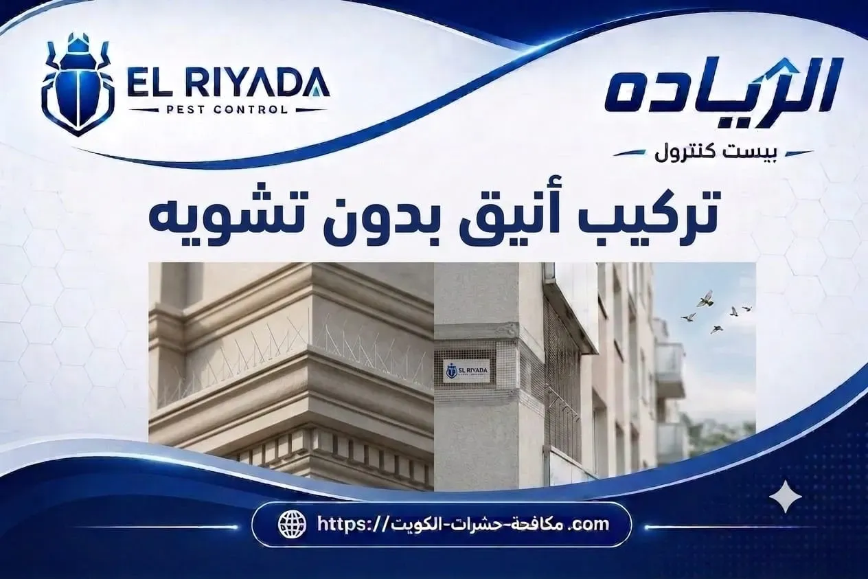 تركيب طارد حمام وشوك للطيور الكويت
