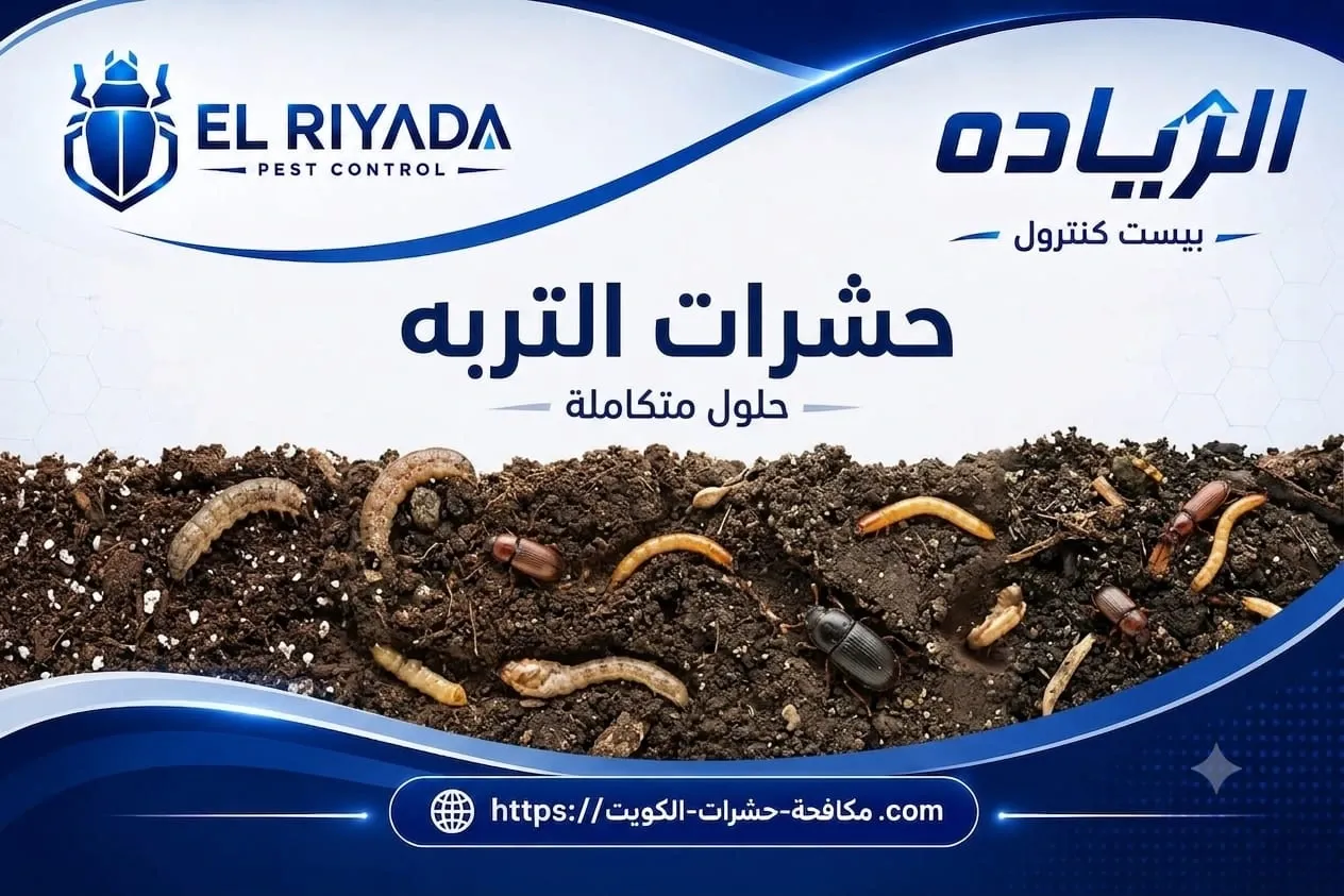حشرات التربة