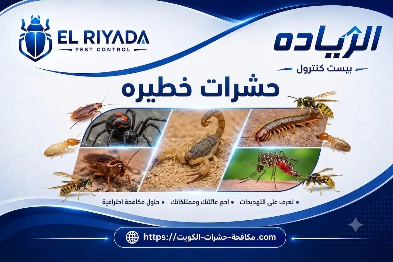 Dangerous Insects