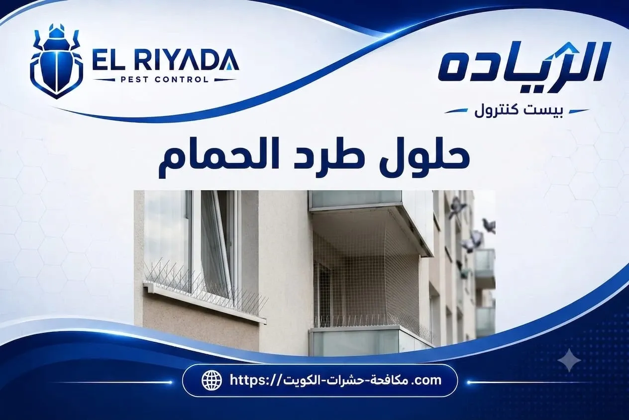 علامات تدل على مشكلة حمام تستدعي تركيب طارد الحمام قبل تفاقمها