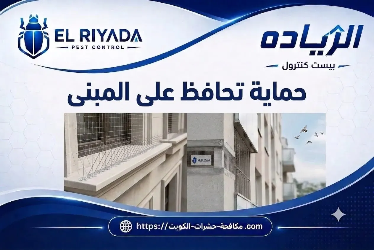 حماية المبنى من الطيور والحمام الكويت