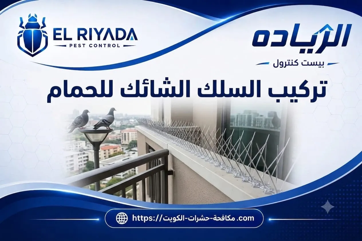 علامات تدل على مشكلة حمام تستدعي تركيب السلك الشائك للحمام قبل تفاقمها
