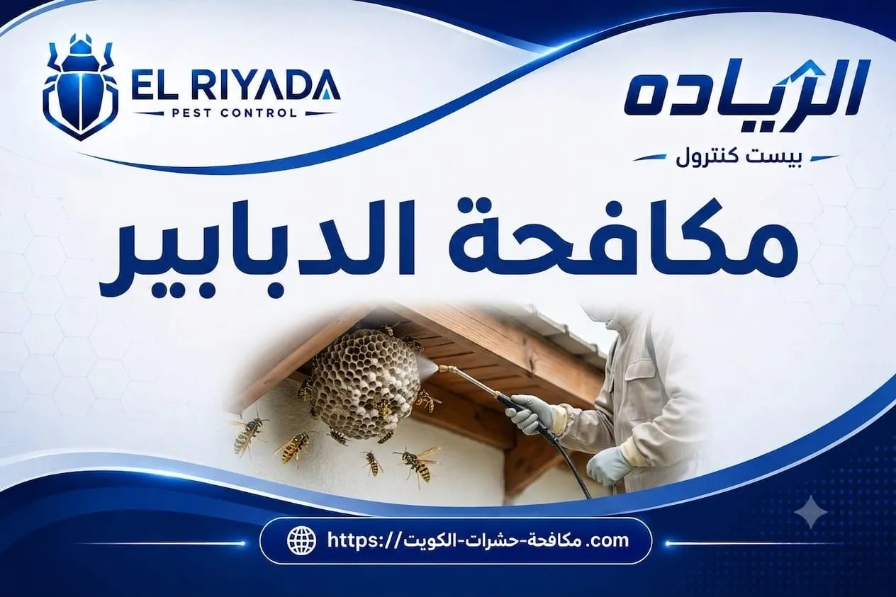 أفضل شركة مكافحة الدبابير في الكويت: كيف تختار الأفضل؟
