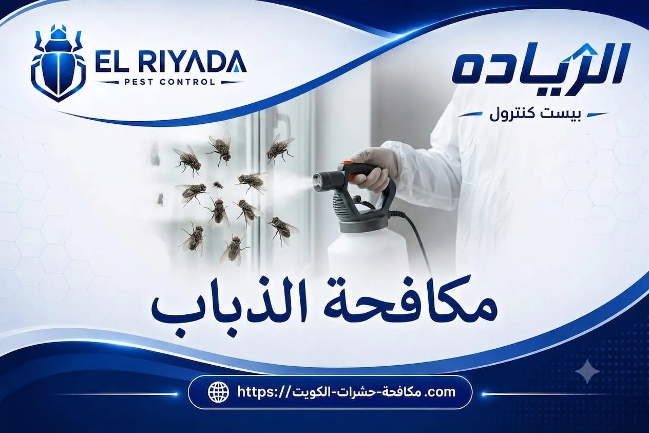 متى تحتاج إلى مكافحة الذباب الاحترافية بدل الحلول المنزلية؟