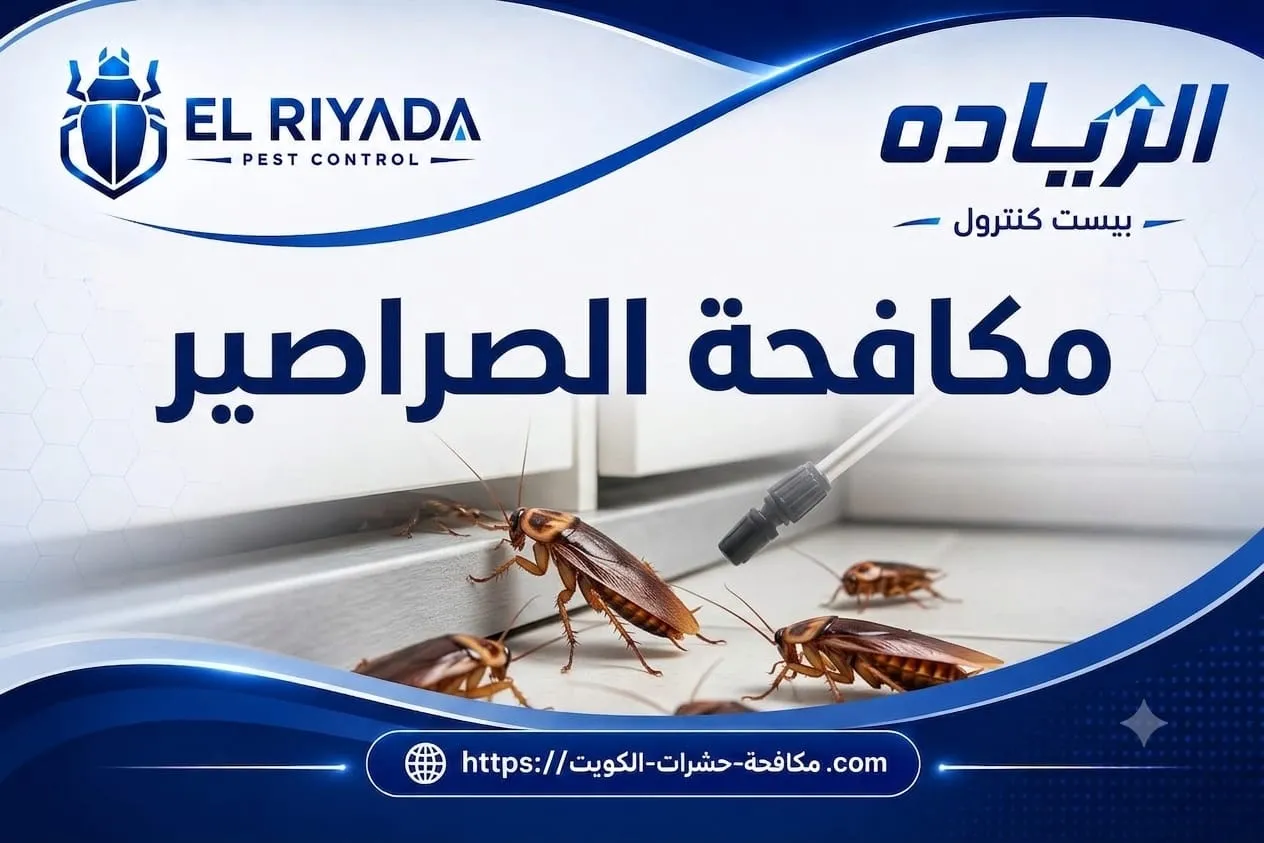 كم تكلفة مكافحة الصراصير في الكويت؟ العوامل التي تحدد السعر 