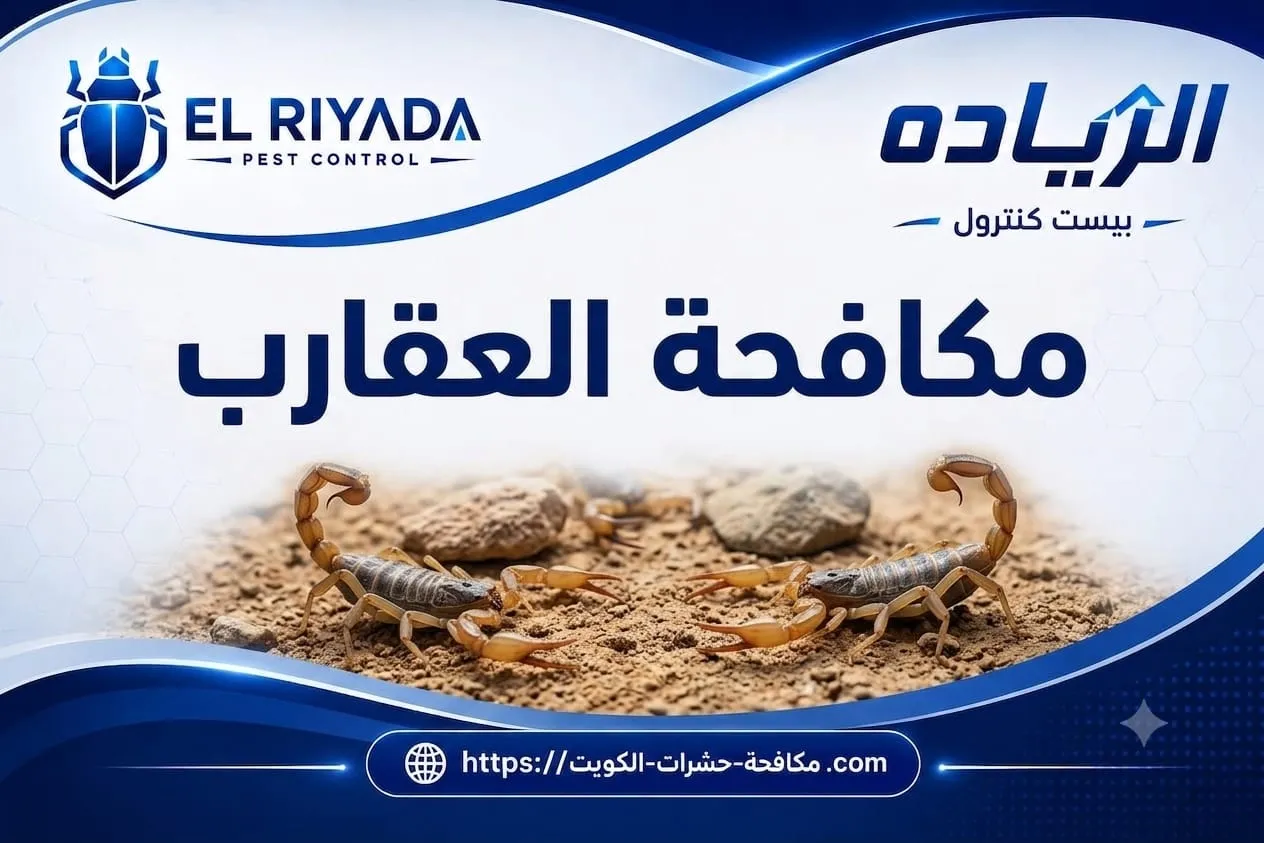 كم تكلفة مكافحة العقارب في الكويت؟ دليل الأسعار والعوامل
