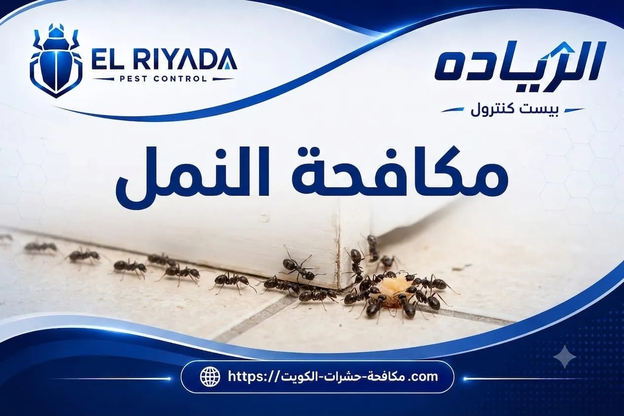 أفضل شركة مكافحة النمل في الكويت: كيف تختار الشركة المناسبة