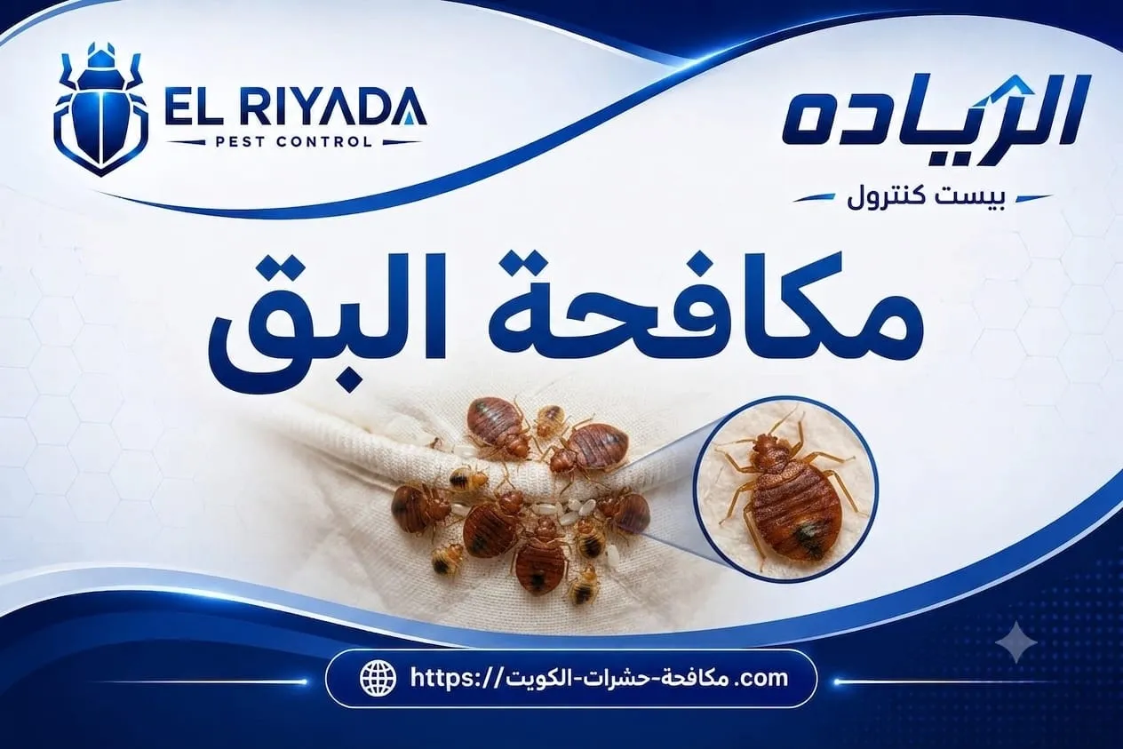 مقارنة بين طرق علاج بق الفراش وأيها أنسب لحالتك الرش أم البخار؟