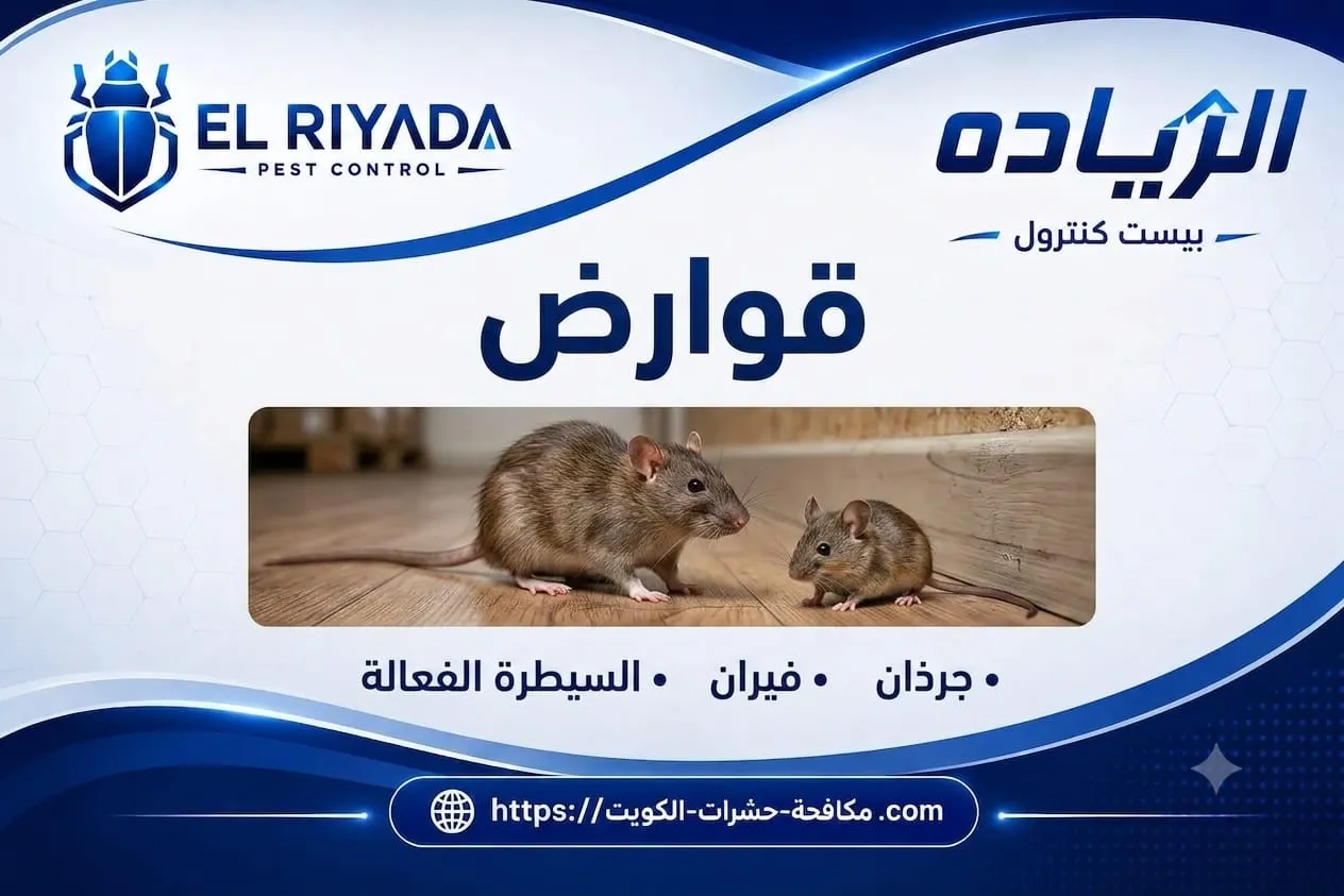 Best  Rat  Control  Company  in  Kuwait  Guide      