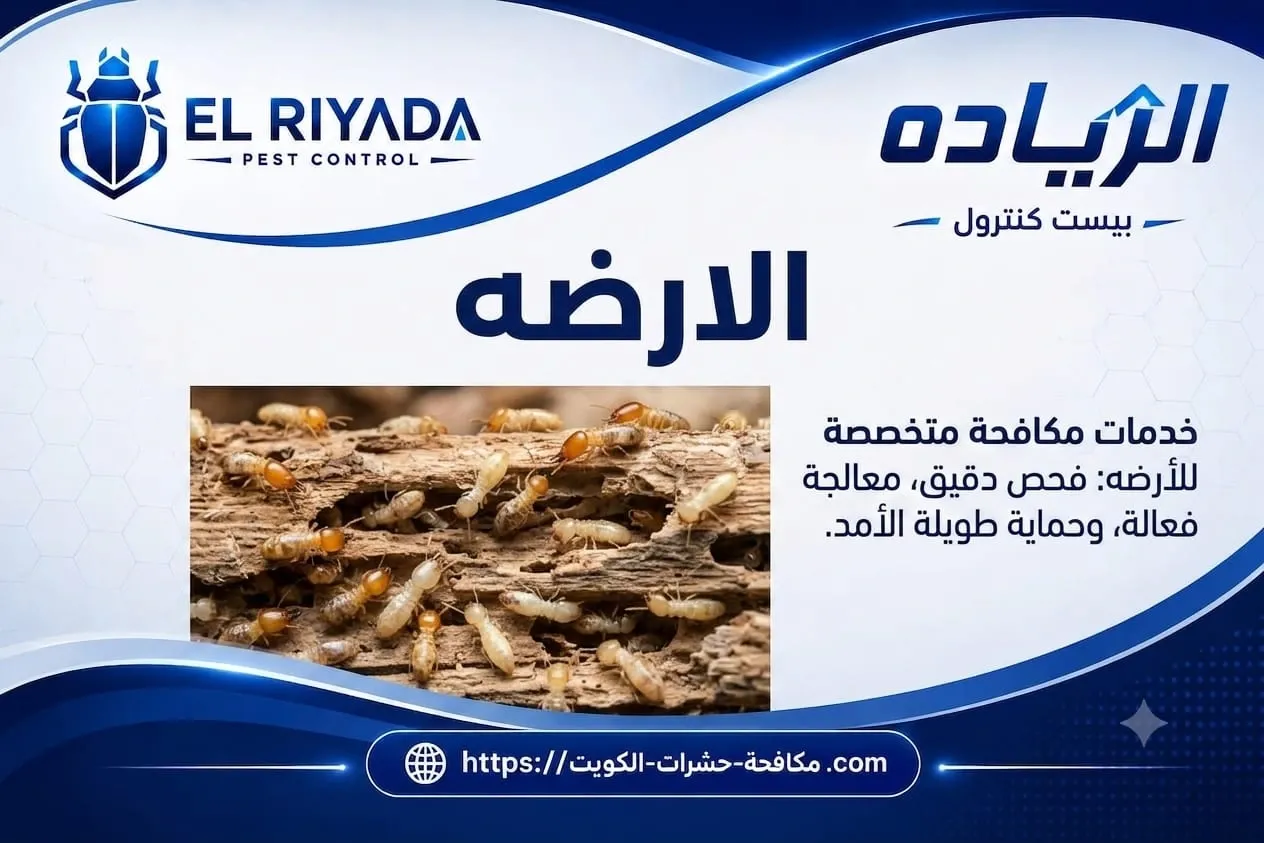 Termites