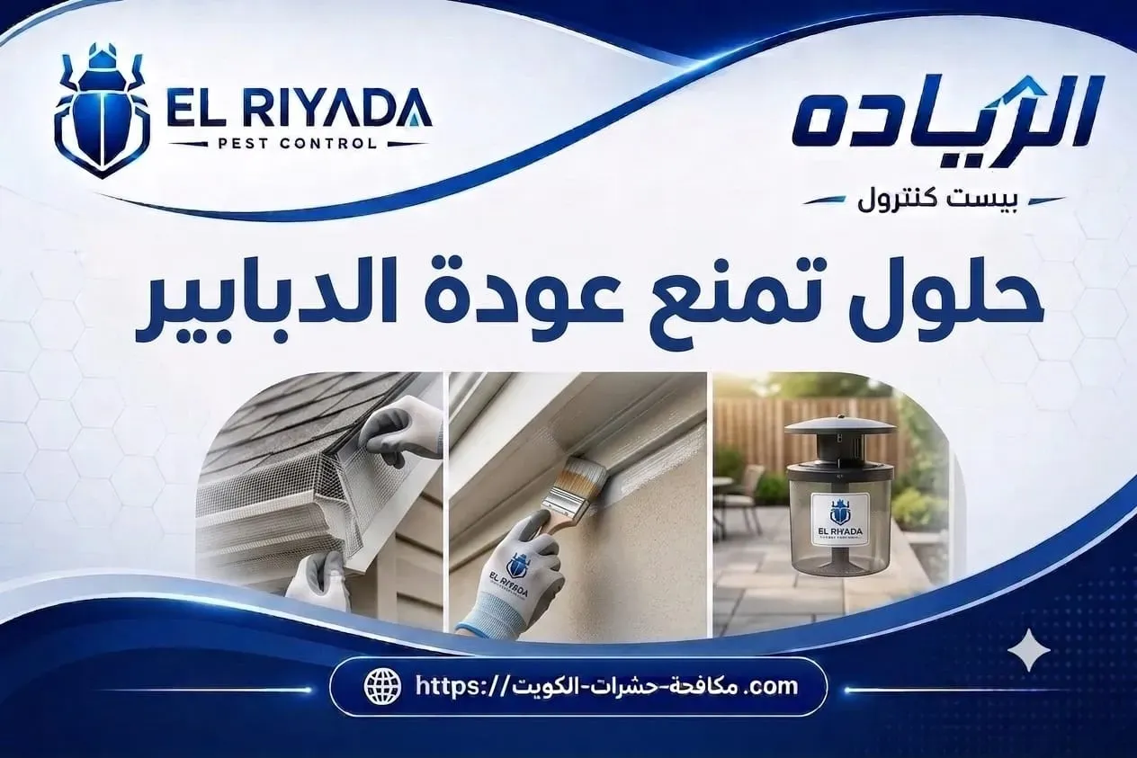 مكافحة الدبابير ومنع عودتها الكويت