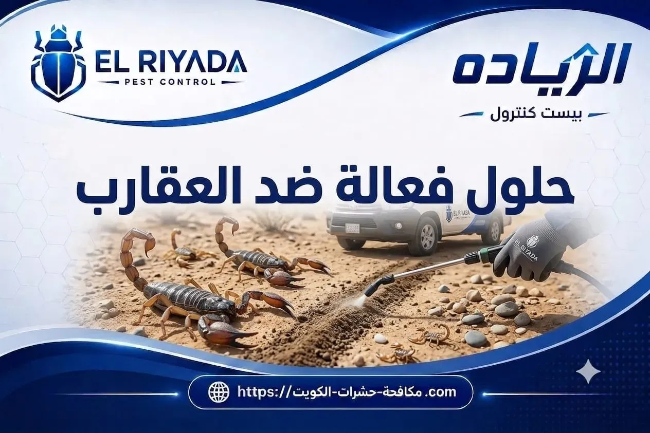 مكافحة العقارب في الكويت حلول فعالة