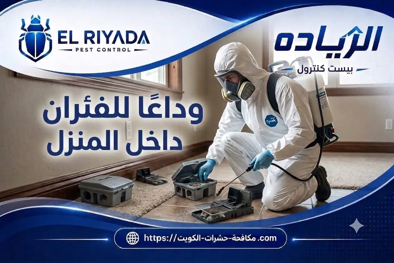 مكافحة الفئران داخل المنزل الكويت