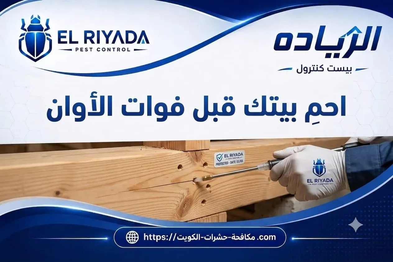 مكافحة النمل الأبيض حماية المنزل الكويت