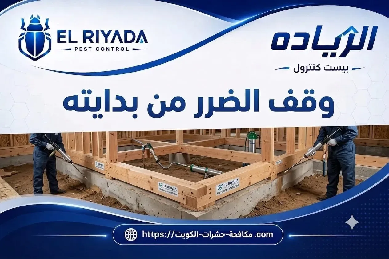 مكافحة النمل الأبيض للمباني الجديدة الكويت