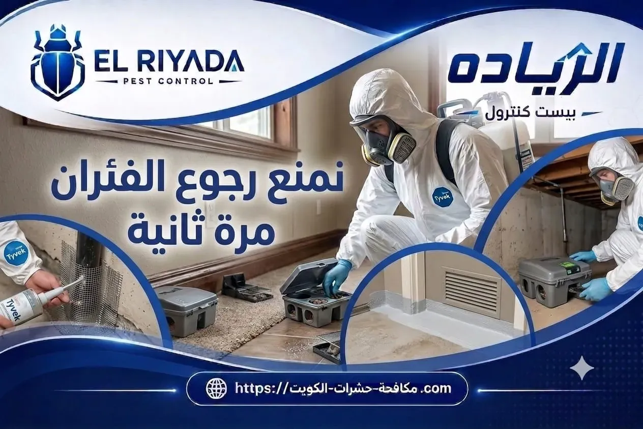 مكافحة فئران منع الرجوع الكويت